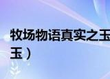 牧场物语真实之玉有什么用（牧场物语真实之玉）