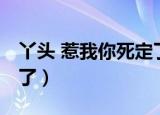 丫头 惹我你死定了表情包（丫头 惹我你死定了）