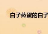 白子蒸蛋的白子是什么（白子的简介）