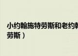 小约翰施特劳斯和老约翰施特劳斯是什么关系（小约翰施特劳斯）