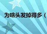 为啥头发掉得多（经常掉头发是什么原因）