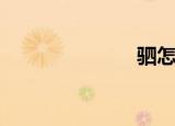 驷怎么读（驷）