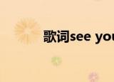 歌词see you see me是什么歌