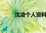 沈凌个人资料简介（沈凌的简介）