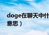 doge在聊天中什么意思（doge在聊天中啥意思）