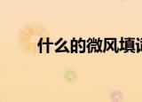 什么的微风填词语补充（快来看看）