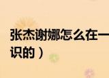 张杰谢娜怎么在一起的（张杰和谢娜是怎么认识的）