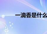 一滴香是什么油（一滴香是什么）