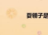 耍翎子是什么（豁翎子）