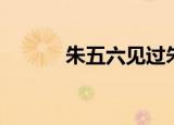 朱五六见过朱元璋吗（朱五六）
