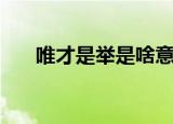 唯才是举是啥意思（唯才是举的意思）