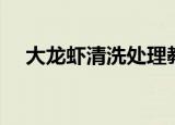 大龙虾清洗处理教程（怎样清洗大龙虾）