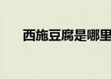 西施豆腐是哪里的菜（它有什么特点）