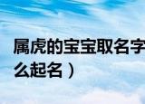 属虎的宝宝取名字用哪些字好（属虎的宝宝怎么起名）