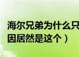 海尔兄弟为什么只穿内裤（他们只穿内裤的原因居然是这个）