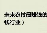 未来农村最赚钱的四大行业（未来农村十大挣钱行业）