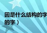 因是什么结构的字书写规则是（因是什么结构的字）