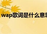 wap歌词是什么意思（wap歌词意思是什么）