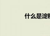 什么是淀粉（淀粉是什么）