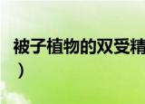 被子植物的双受精过程图（被子植物的双受精）