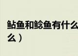 鲇鱼和鲶鱼有什么区别（鲇鱼和鲶鱼区别是什么）