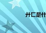 廾匸是什么意思（廾匸）
