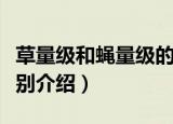 草量级和蝇量级的区别（草量级和蝇量级的区别介绍）