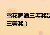 雪花啤酒三等奖是什么奖品2021（雪花啤酒三等奖）