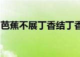 芭蕉不展丁香结丁香空结雨中愁的意思的意思