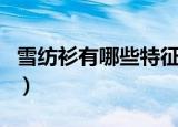 雪纺衫有哪些特征（雪纺和欧根纱有什么区别）