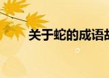 关于蛇的成语故事（关于蛇的成语）