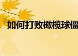 如何打败橄榄球僵尸（橄榄球僵尸怎么打）