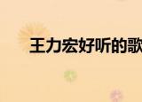 王力宏好听的歌词（王力宏好听的歌）
