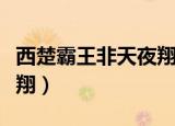 西楚霸王非天夜翔讲的什么（西楚霸王非天夜翔）