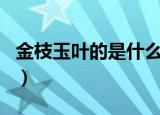 金枝玉叶的是什么生肖（金枝玉叶打一个生肖）