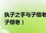 执子之手与子偕老含义（怎么理解执子之手与子偕老）