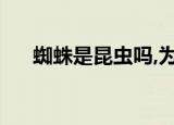 蜘蛛是昆虫吗,为什么（蜘蛛是昆虫吗）
