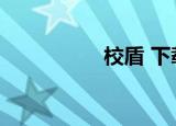 校盾 下载（网盾学校）
