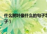 什么树叶像什么的句子怎么写（怎么写什么树叶像什么的句子）