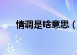 情调是啥意思（怎么理解情调的意思）