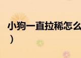 小狗一直拉稀怎么办啊（小狗一直拉稀怎么办）