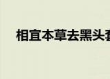 相宜本草去黑头套装（相宜本草去黑头）