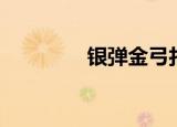 银弹金弓打造（银弹金弓）