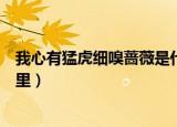 我心有猛虎细嗅蔷薇是什么意思（心有猛虎细嗅蔷薇出自哪里）