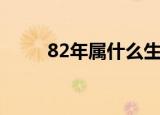 82年属什么生肖（82年属的生肖）