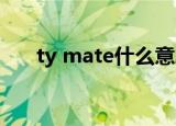 ty mate什么意思（Matey什么意思）
