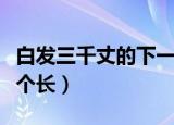 白发三千丈的下一句是什么（下一句是缘愁似个长）