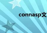 connasp文件（CONN ASP）