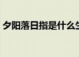 夕阳落日指是什么生肖（夕阳落日打一生肖）