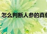 怎么判断人参的真假（人参的真假如何辨别）